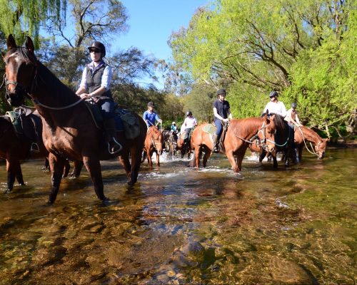 Watsons Horse Trail RIdes Mansfield Victoria